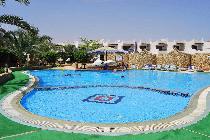 Отель PARTNER TURQUOISE HOTEL 3 * (Египет, Шарм эль Шейх)