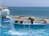 Отель Sol Azur Beach Congres 4* (Тунис, Хаммамет)